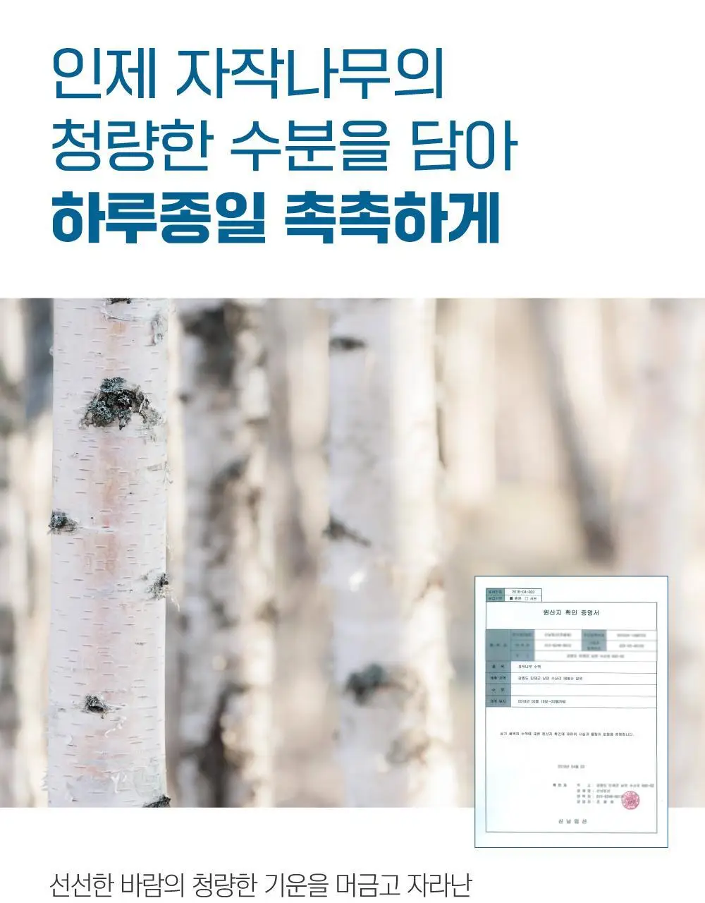 [수분촉촉] 라운드랩 자작나무 수분 클렌저 150ml 기획 (+20ml) 상세페이지 8